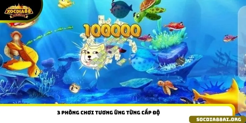 3 phòng chơi tương ứng từng cấp độ 