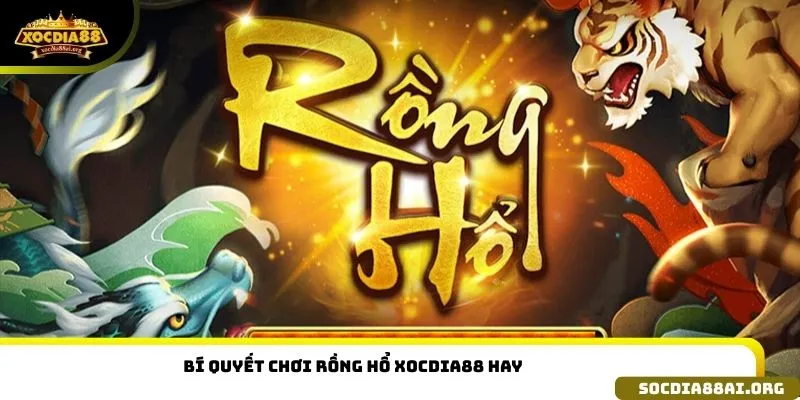 Bí quyết chơi Rồng hổ xocdia88 hay