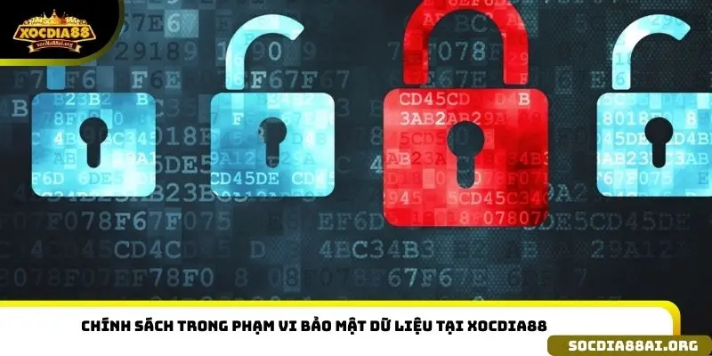 Chính sách trong phạm vi bảo mật dữ liệu tại XOCDIA88