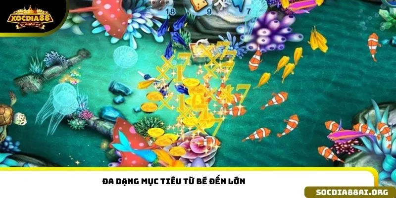 Đa dạng mục tiêu từ bé đến lớn 