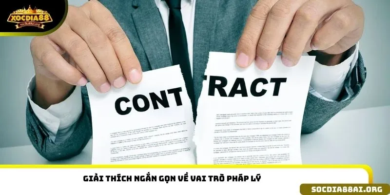 Giải thích ngắn gọn về vai trò pháp lý