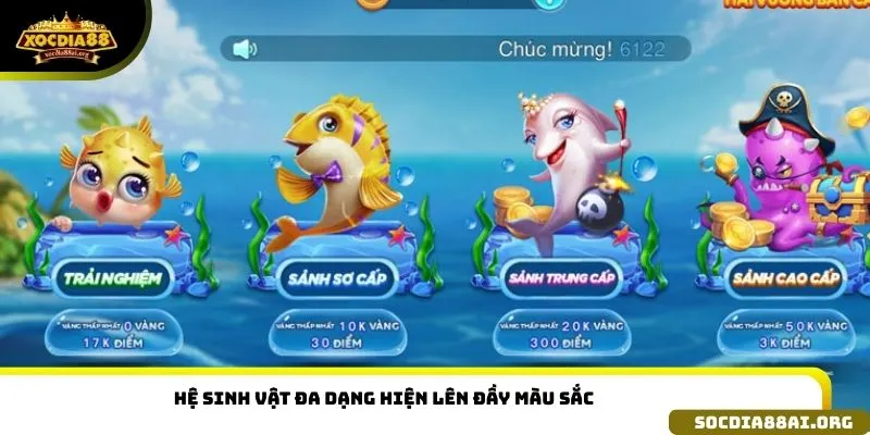 Hệ sinh vật đa dạng hiện lên đầy màu sắc