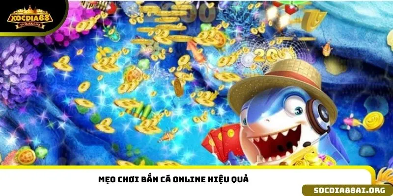 Mẹo chơi bắn cá online hiệu quả