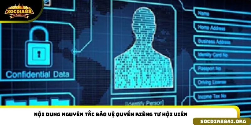 Nội dung nguyên tắc bảo vệ quyền riêng tư hội viên