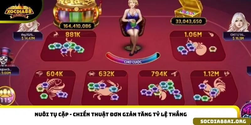 Nuôi tụ cặp - chiến thuật đơn giản tăng tỷ lệ thắng