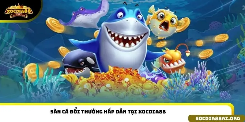 Săn cá đổi thưởng hấp dẫn tại Xocdia88