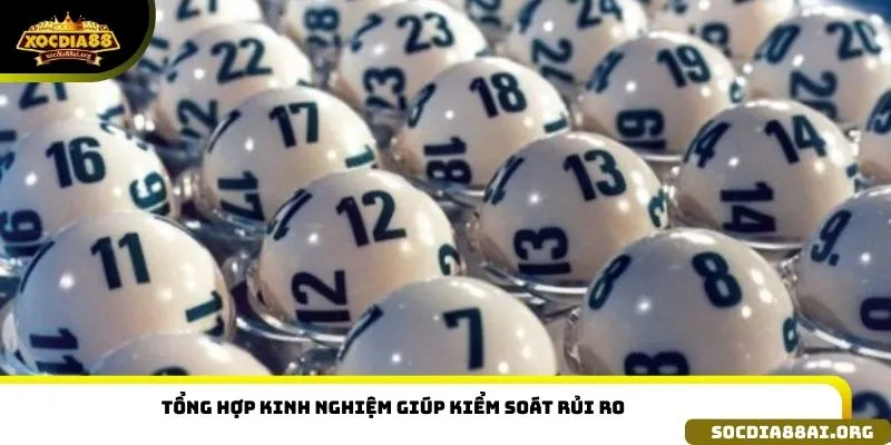 Tổng hợp kinh nghiệm giúp kiểm soát rủi ro