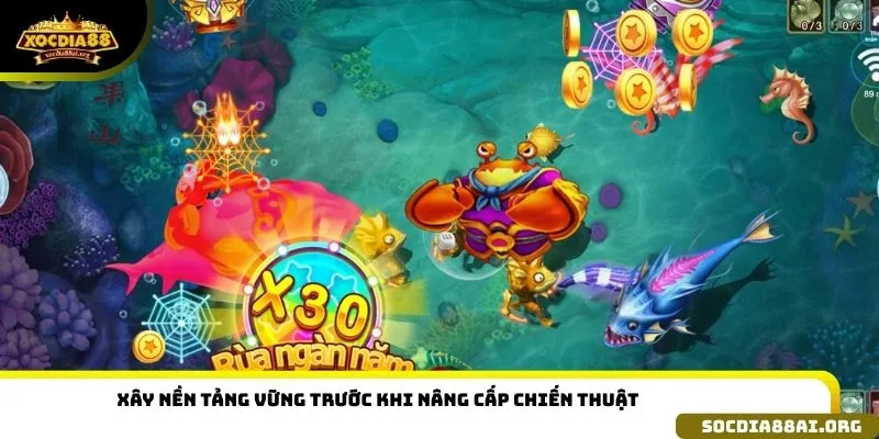 Xây nền tảng vững trước khi nâng cấp chiến thuật
